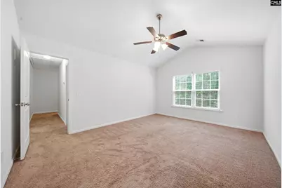 196 Phoenix Lane, Lexington, SC 29072 - Photo 13