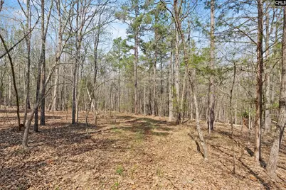 1778 White Road, Camden, SC 29020 - Photo 53