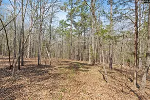 1778 White Rd, Camden, SC 29020 - Photo 53