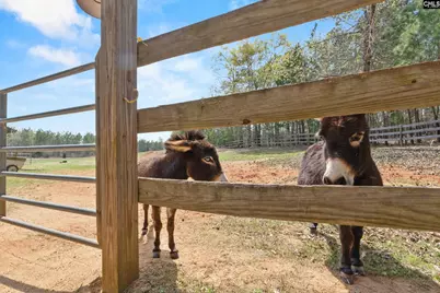 1778 White Road, Camden, SC 29020 - Photo 57