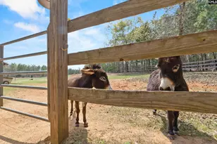 1778 White Rd, Camden, SC 29020 - Photo 57