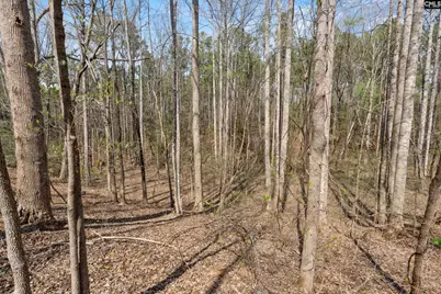 1778 White Road, Camden, SC 29020 - Photo 51