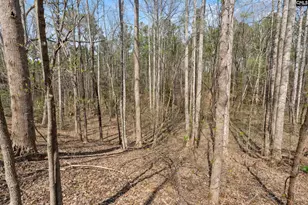 1778 White Rd, Camden, SC 29020 - Photo 51