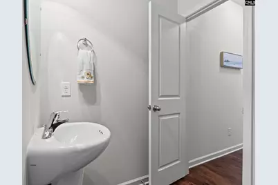 865 Sunseeker Drive, Chapin, SC 29036 - Photo 13