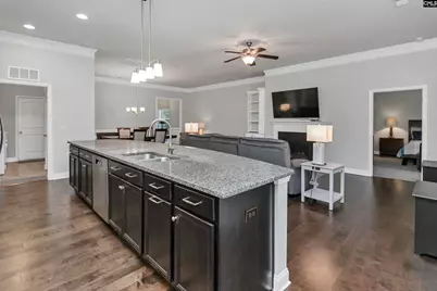 688 Scarlett Baby Drive, Blythewood, SC 29016 - Photo 13