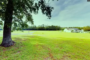 965 Crystal Springs Dr, Pelion, SC 29123 - Photo 3