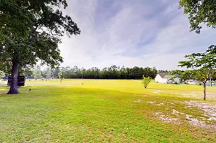 965 Crystal Springs Dr, Pelion, SC 29123 - Photo 57