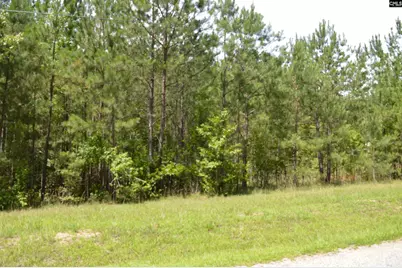 172 Colonels Circle, Ridgeway, SC 29130 - Photo 3