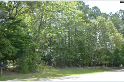 13 Colonels, Ridgeway, SC 29130 - Photo 3