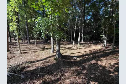 60 Circle H Woods Road, Prosperity, SC 29127 - Photo 53