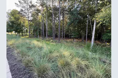 60 Circle H Woods Road, Prosperity, SC 29127 - Photo 49