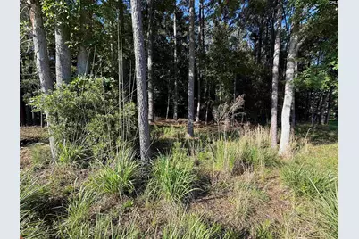 60 Circle H Woods Road, Prosperity, SC 29127 - Photo 47