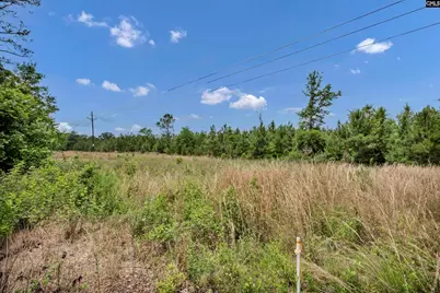 Na Bull Swamp, North, SC 29112 - Photo 3