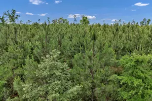 Na Bull Swamp, North, SC 29112 - Photo 9