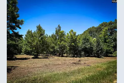 0 S Bethlehem Road Lot 2 #Lot 2, Batesburg, SC 29006 - Photo 1