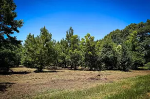 0 S Bethlehem Road Lot 2, Batesburg, SC 29006 - Photo 1
