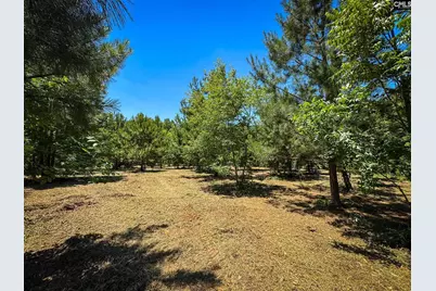 0 S Bethlehem Road Lot 2 #Lot 2, Batesburg, SC 29006 - Photo 3