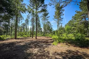 0 Lewis Waters Road Lot 1, Leesville, SC 29070 - Photo 1