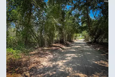 0 Lewis Waters Road Lot 1, Leesville, SC 29070 - Photo 3