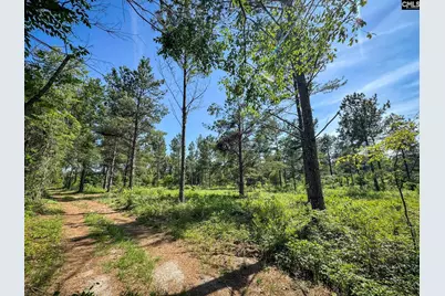 0 Lewis Waters Road Lot 1, Leesville, SC 29070 - Photo 5
