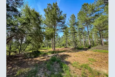 0 Lewis Waters Road Lot 2 #Lot 2, Leesville, SC 29070 - Photo 1