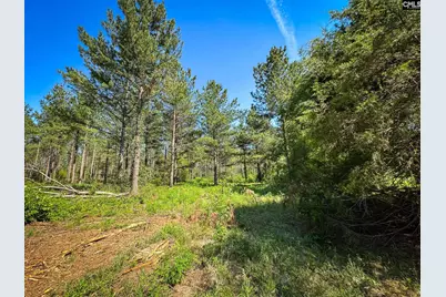 0 Lewis Waters Road Lot 2 #Lot 2, Leesville, SC 29070 - Photo 5