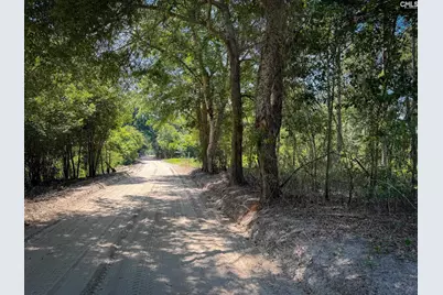 0 Lewis Waters Road Lot 2 #Lot 2, Leesville, SC 29070 - Photo 3