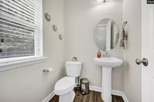 163 Indigo Pl Ct, West Columbia, SC 29172 - Photo 17