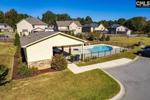 536 Lever Hill Ct, Chapin, SC 29036 - Photo 47