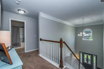 536 Lever Hill Court, Chapin, SC 29036 - Photo 35