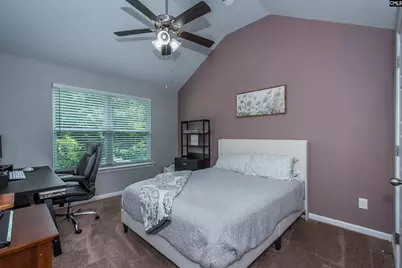 536 Lever Hill Court, Chapin, SC 29036 - Photo 45