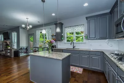 536 Lever Hill Court, Chapin, SC 29036 - Photo 25