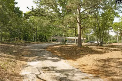 189 Crystal Springs Drive, Lexington, SC 29073 - Photo 3