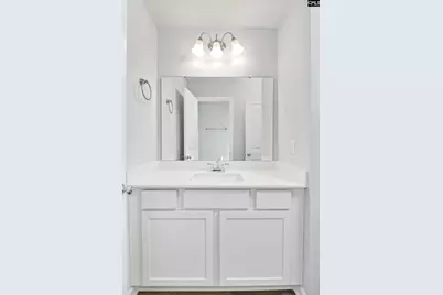 252 Boseman Road, Irmo, SC 29063 - Photo 29