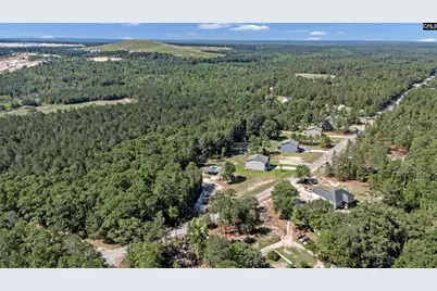 1565 Brazell Road, Elgin, SC 29045 - Photo 67