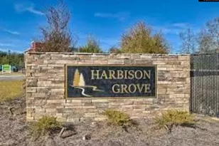 315 High Grv Wy, Columbia, SC 29210 - Photo 29