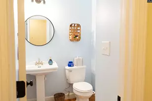 313 Carola Ln, Lexington, SC 29072 - Photo 29