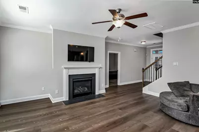 222 Bowyer Court, Chapin, SC 29036 - Photo 3