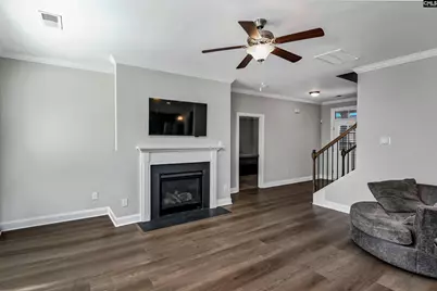 222 Bowyer Court, Chapin, SC 29036 - Photo 3