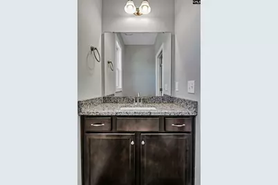 222 Bowyer Court, Chapin, SC 29036 - Photo 23