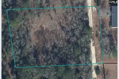 Possum Trail, Bamberg, SC 29003 - Photo 1