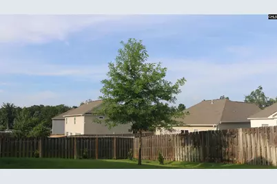 155 Doolittle Drive, Chapin, SC 29036 - Photo 53
