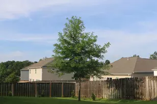 155 Doolittle Dr, Chapin, SC 29036 - Photo 53