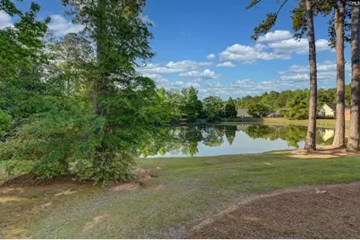 121 Wandering Brook Road, Irmo, SC 29063 - Photo 9