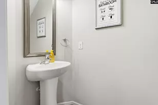 137 Cassique Dr, Lexington, SC 29073 - Photo 11