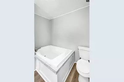 455 W 8th Street, Swansea, SC 29160 - Photo 11