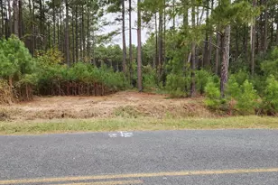 657 Old Field Rd, Leesville, SC 29070 - Photo 1
