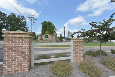 1103 Bergenfield Lane, Chapin, SC 29036 - Photo 47