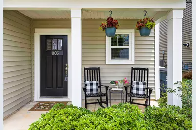 1103 Bergenfield Lane, Chapin, SC 29036 - Photo 3
