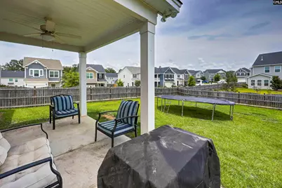1103 Bergenfield Lane, Chapin, SC 29036 - Photo 5
